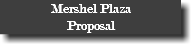 Mershel Plaza Proposal